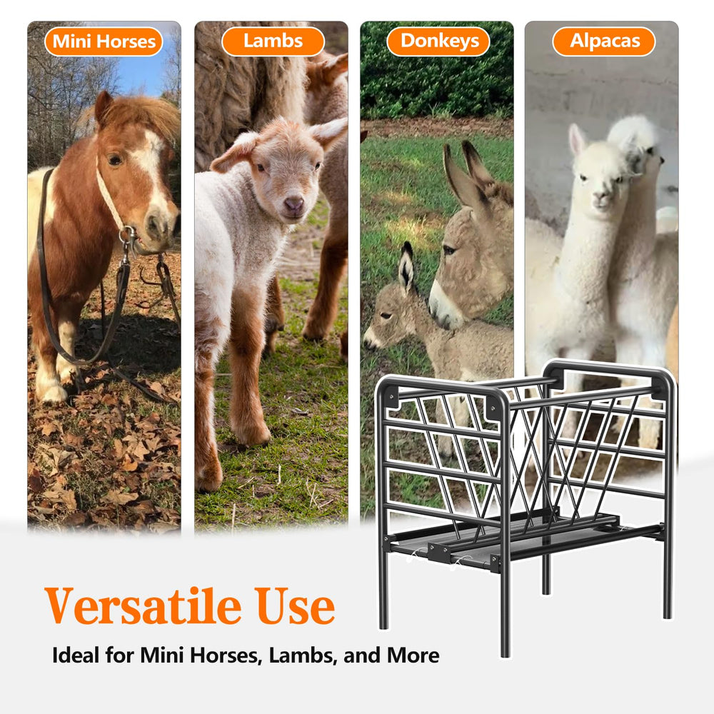 BUYYAH goats and sheep feeding from the feeder demonstrating easy access