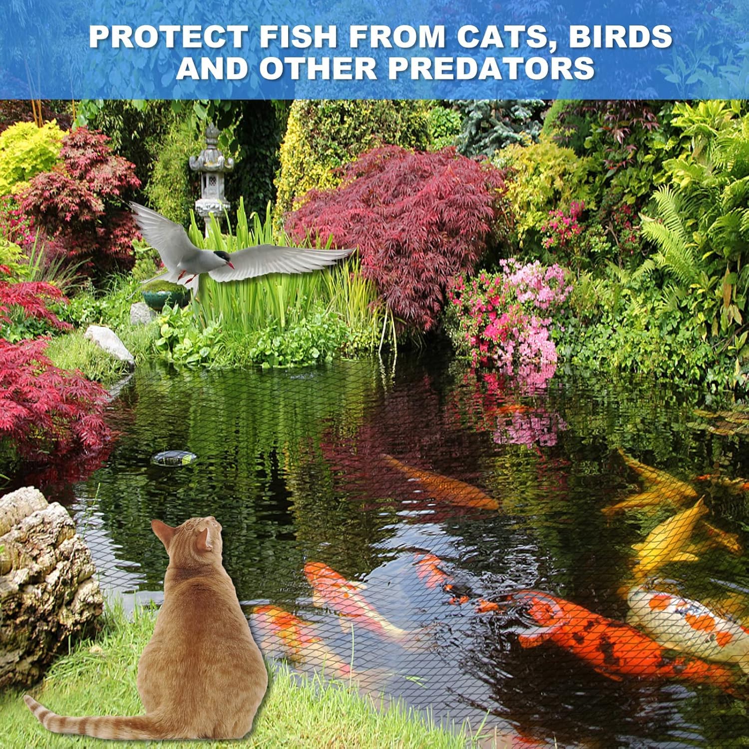 BUZIFU net stretched over koi pond protecting fish while remaining visually discreet