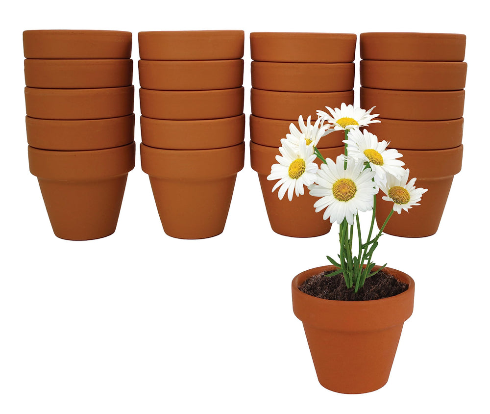 BUZZY terracotta pots arranged neatly, breathable clay benefits healthy roots