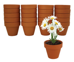 BUZZY terracotta pots arranged neatly, breathable clay benefits healthy roots
