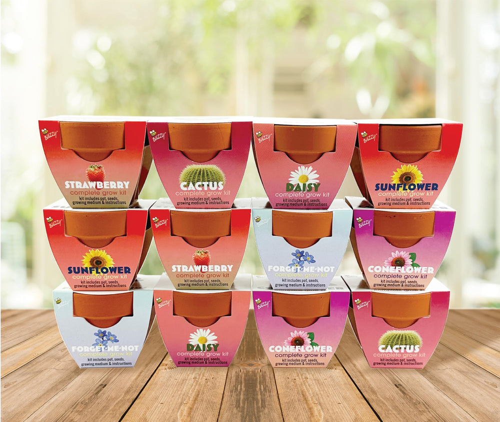 BUZZY mini pots used as event favors on a decorated table setting