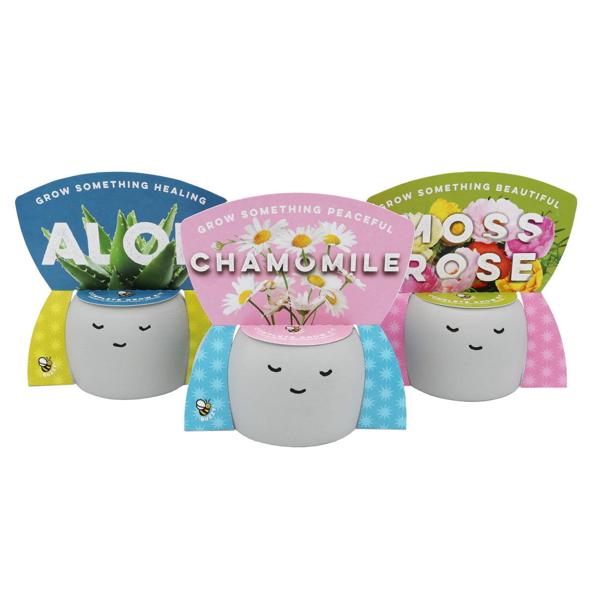 BUZZY front view of packed face planter showing ceramic design and contents benefit