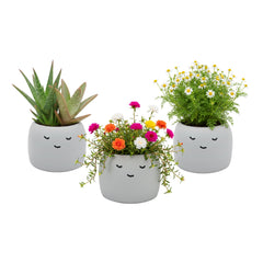 BUZZY side profile of the face planter highlighting ceramic finish and decorative appeal