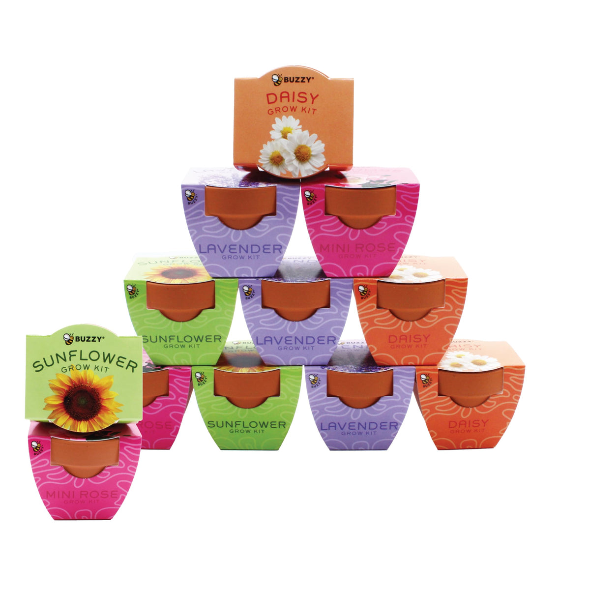 BUZZY front packaging showing kit contents and cheerful branding benefit is clear setup