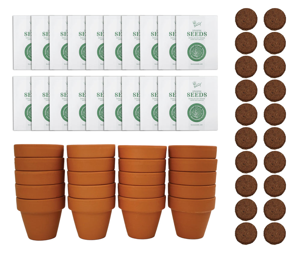 BUZZY front packaging showing complete spruce grow kit and contents benefit convenience