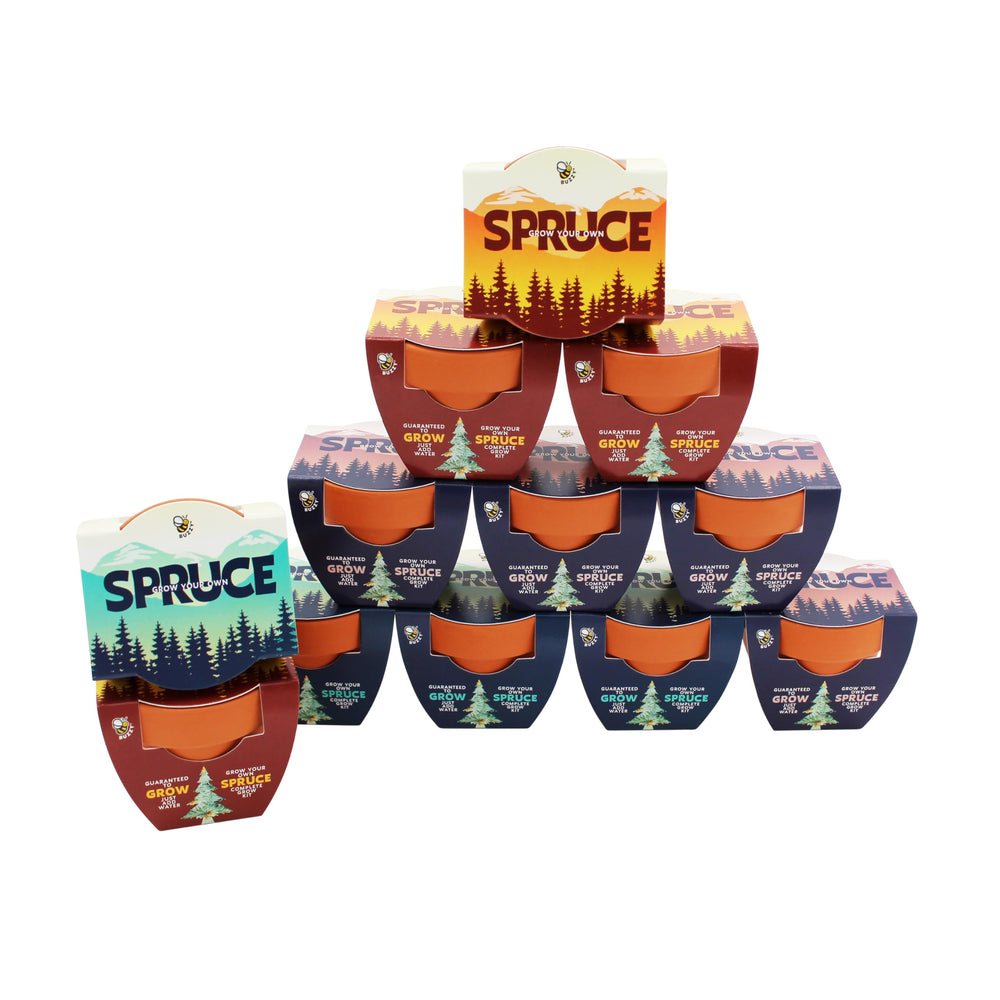 BUZZY front packaging showing terracotta pots and complete kit benefits