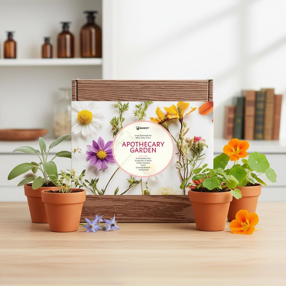 Buzzy kit displayed on a sunny windowsill, promoting compact indoor gardening