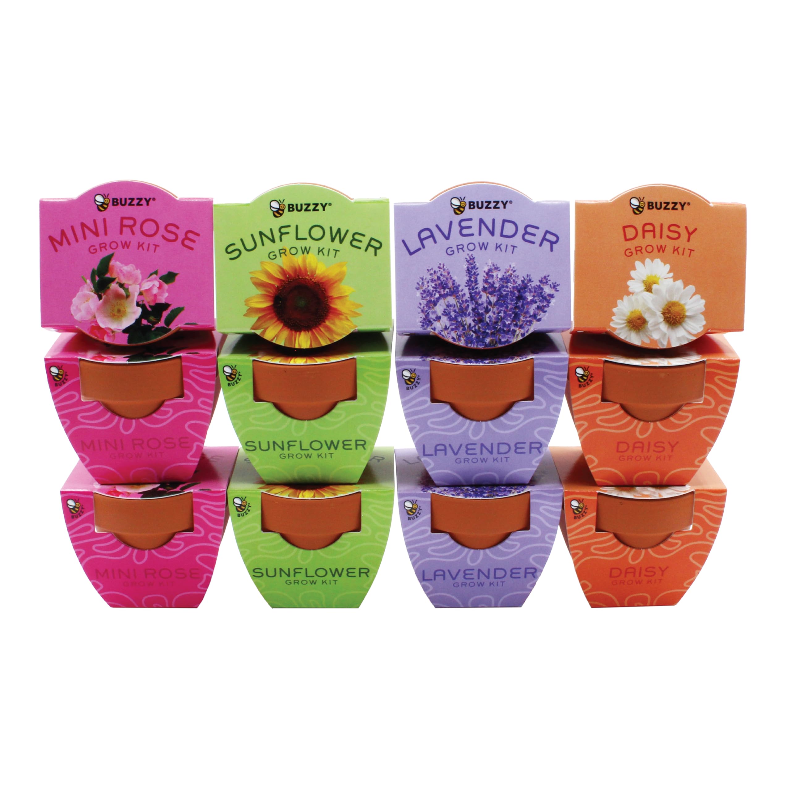 BUZZY finished pots on a table in a bright lifestyle setting showcasing decorative gift appeal