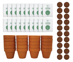 BUZZY front packaging of 20-pack terracotta grow kit showing contents and benefit