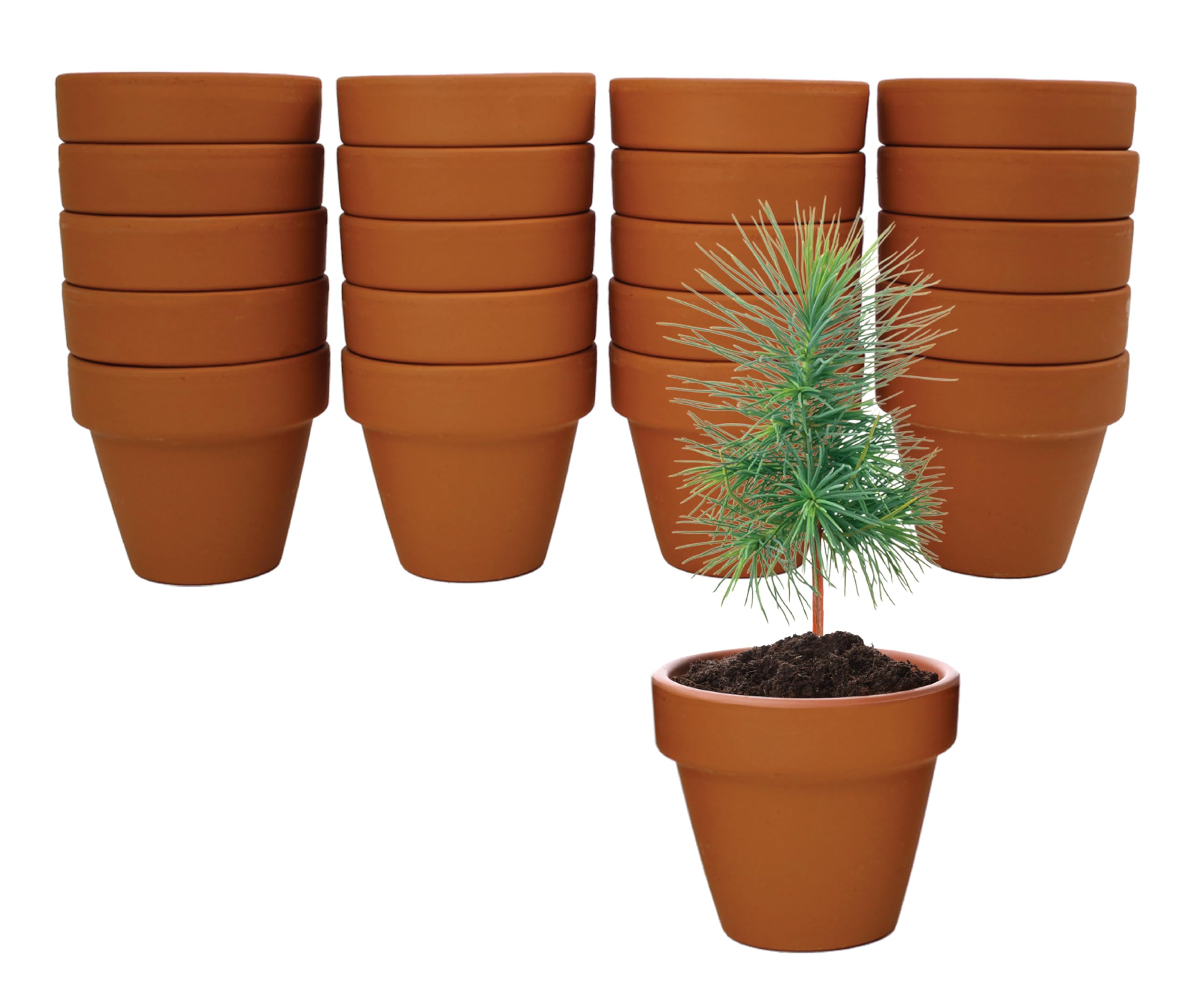 BUZZY close-up of mini terracotta pot highlighting breathability and root health