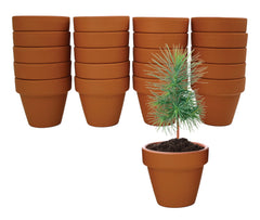 BUZZY close-up of mini terracotta pot highlighting breathability and root health
