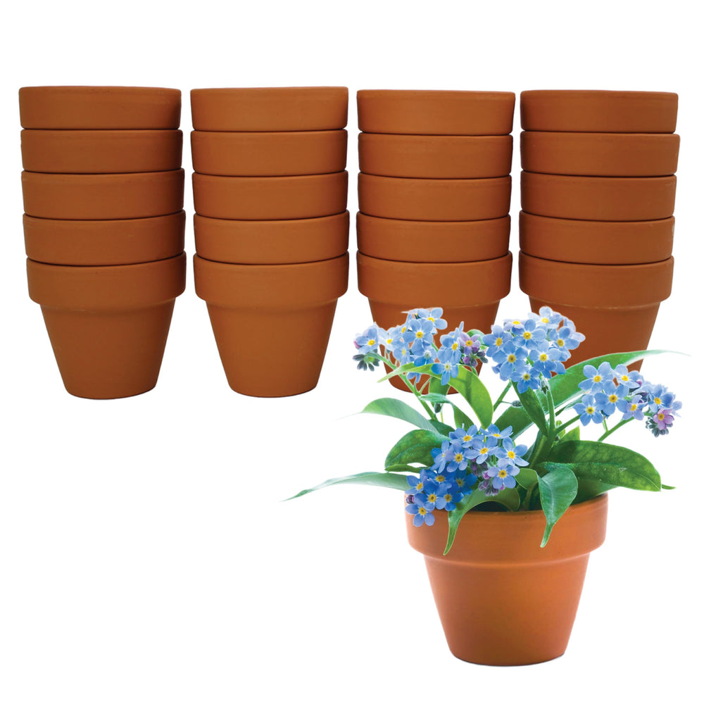 BUZZY mini terracotta pots arranged neatly, offering reusable breathable containers