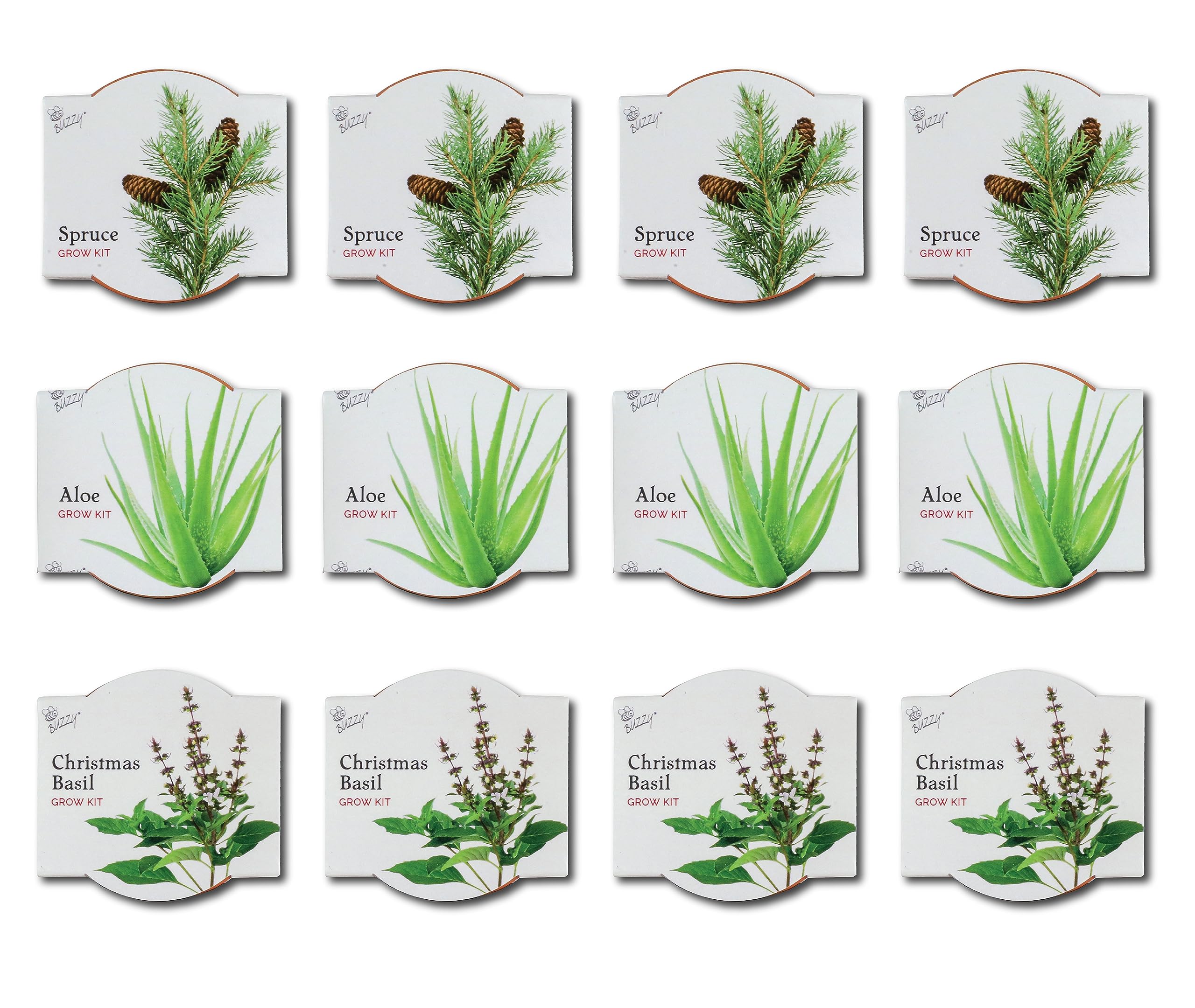 BUZZY mini terracotta pots close-up highlighting natural breathability