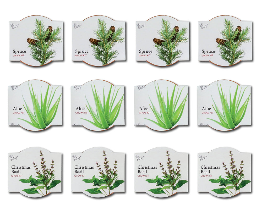 BUZZY mini terracotta pots close-up highlighting natural breathability
