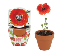 BUZZY close-up of genuine mini terracotta pots showing breathable clay