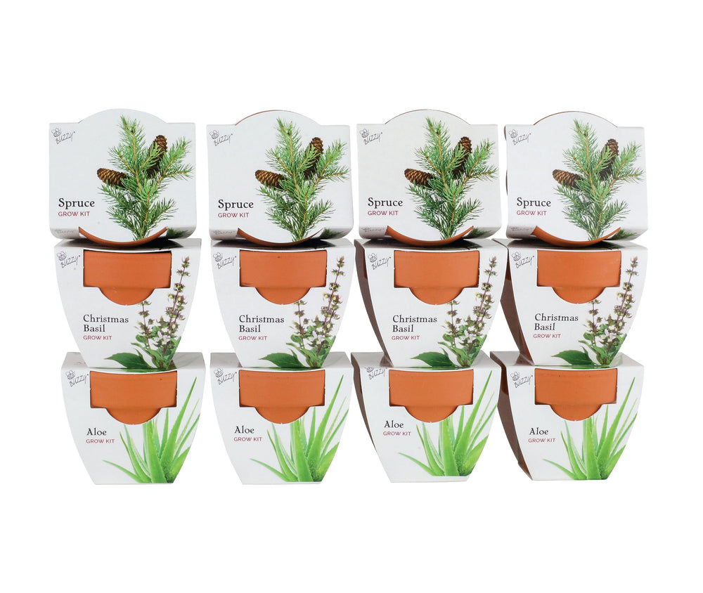 BUZZY front packaging showing full grow kit and benefits