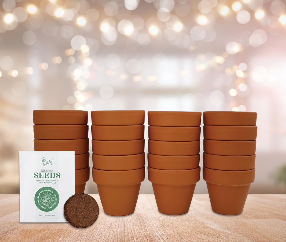 BUZZY hand holding mini pot for scale showing compact size and portability