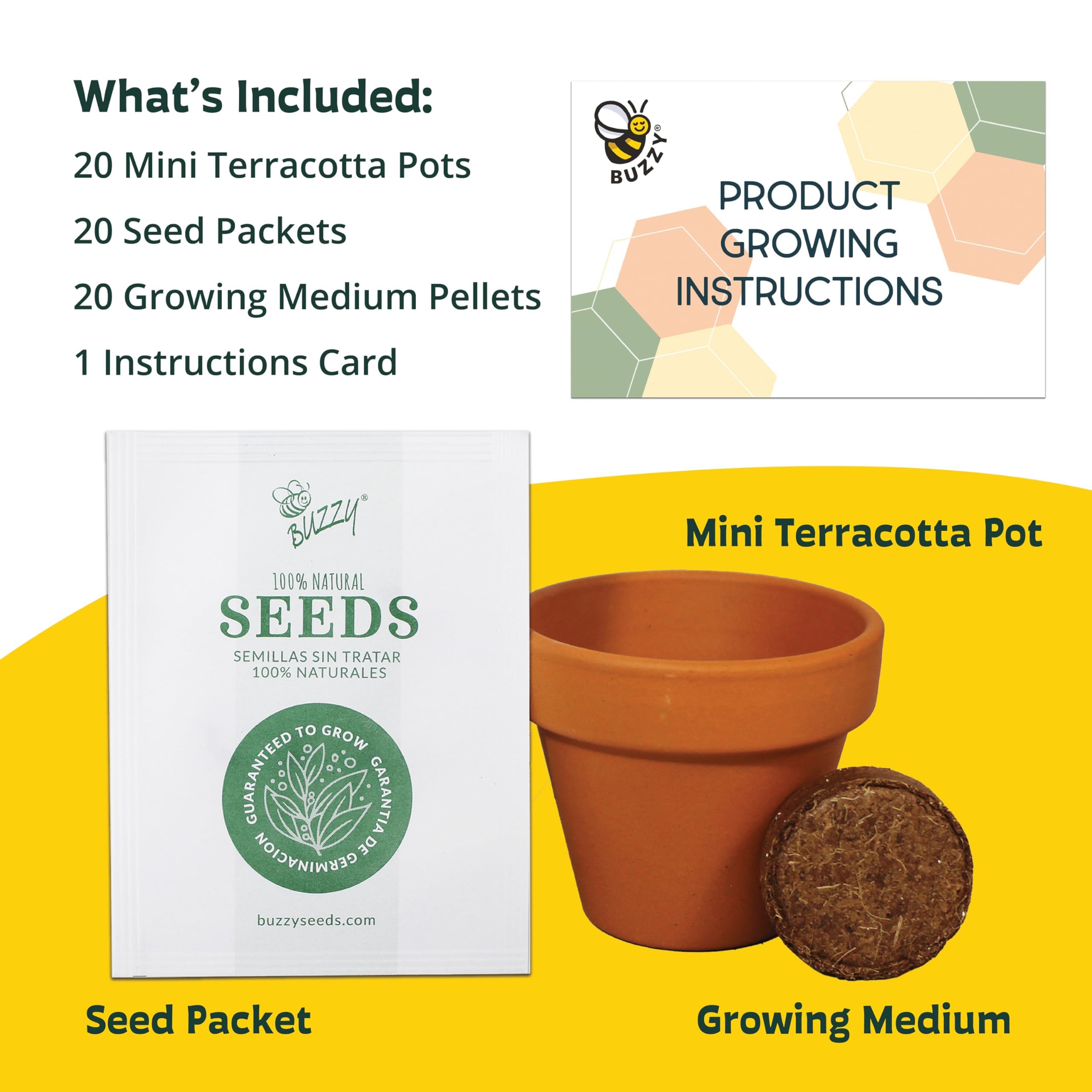 BUZZY seed packet and label close-up, highlighting premium non-GMO seeds
