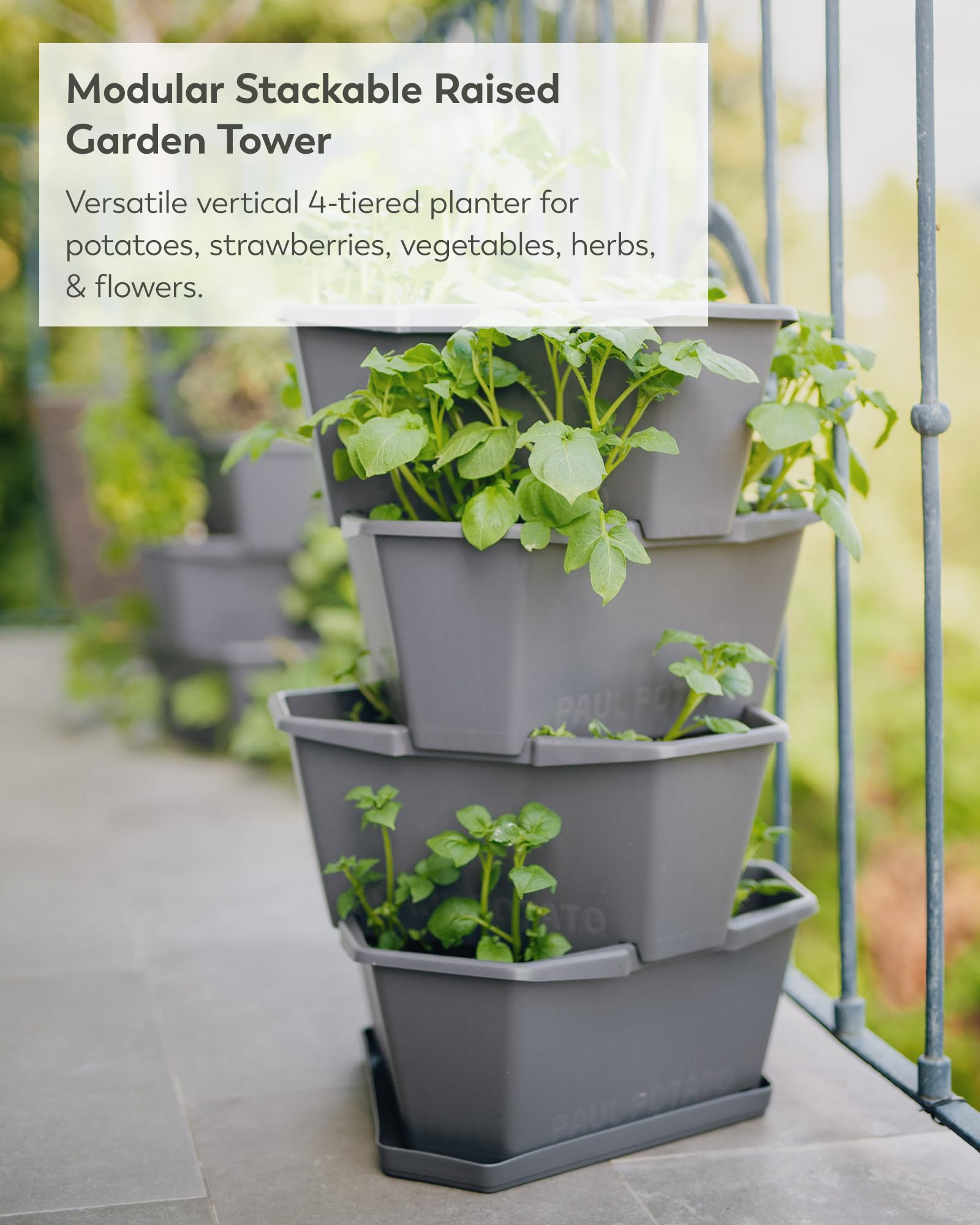 BUZZY planter filled across all four levels with vegetables and herbs, maximizing yield