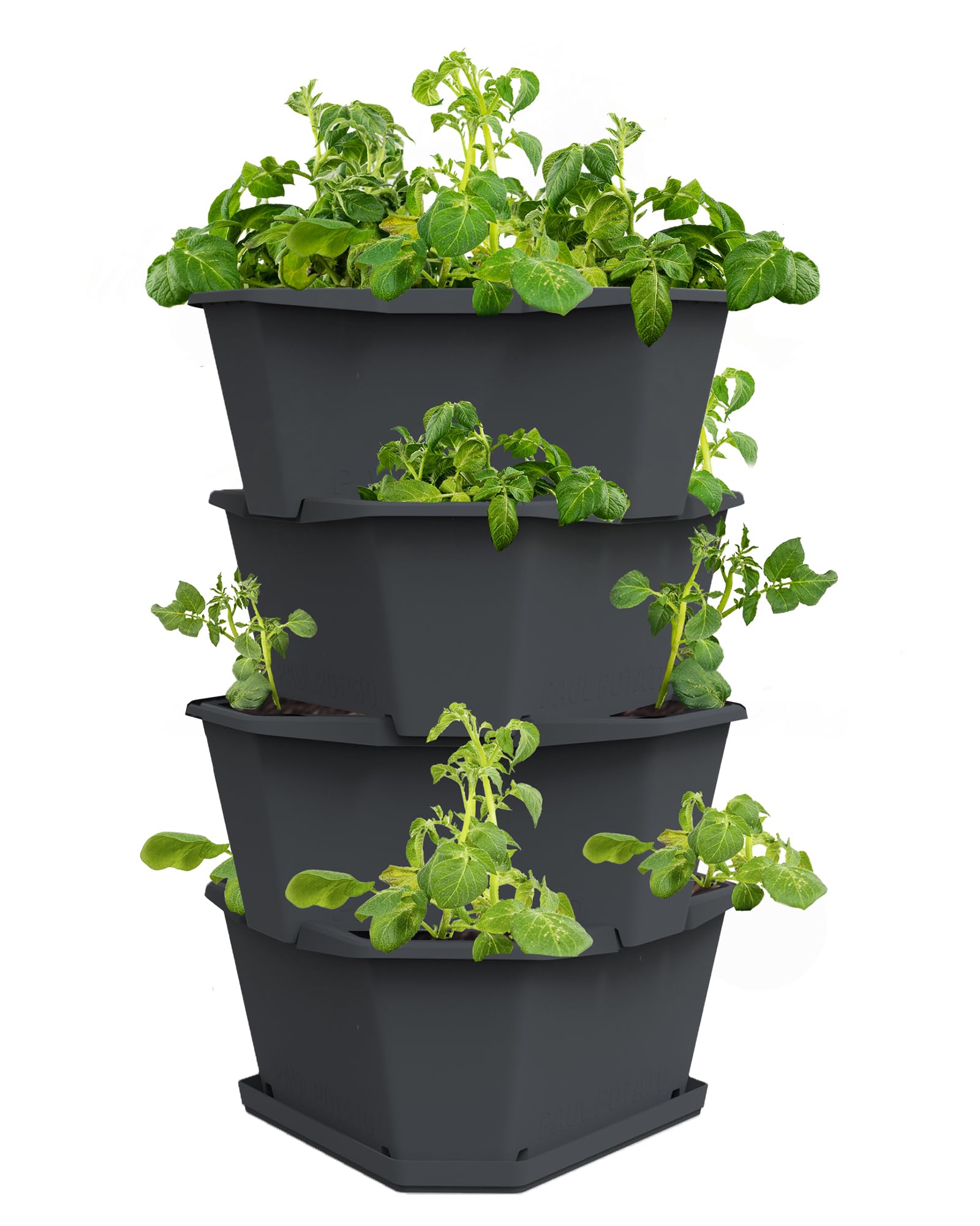 BUZZY front view of gray four-level planter showing compact footprint and versatility