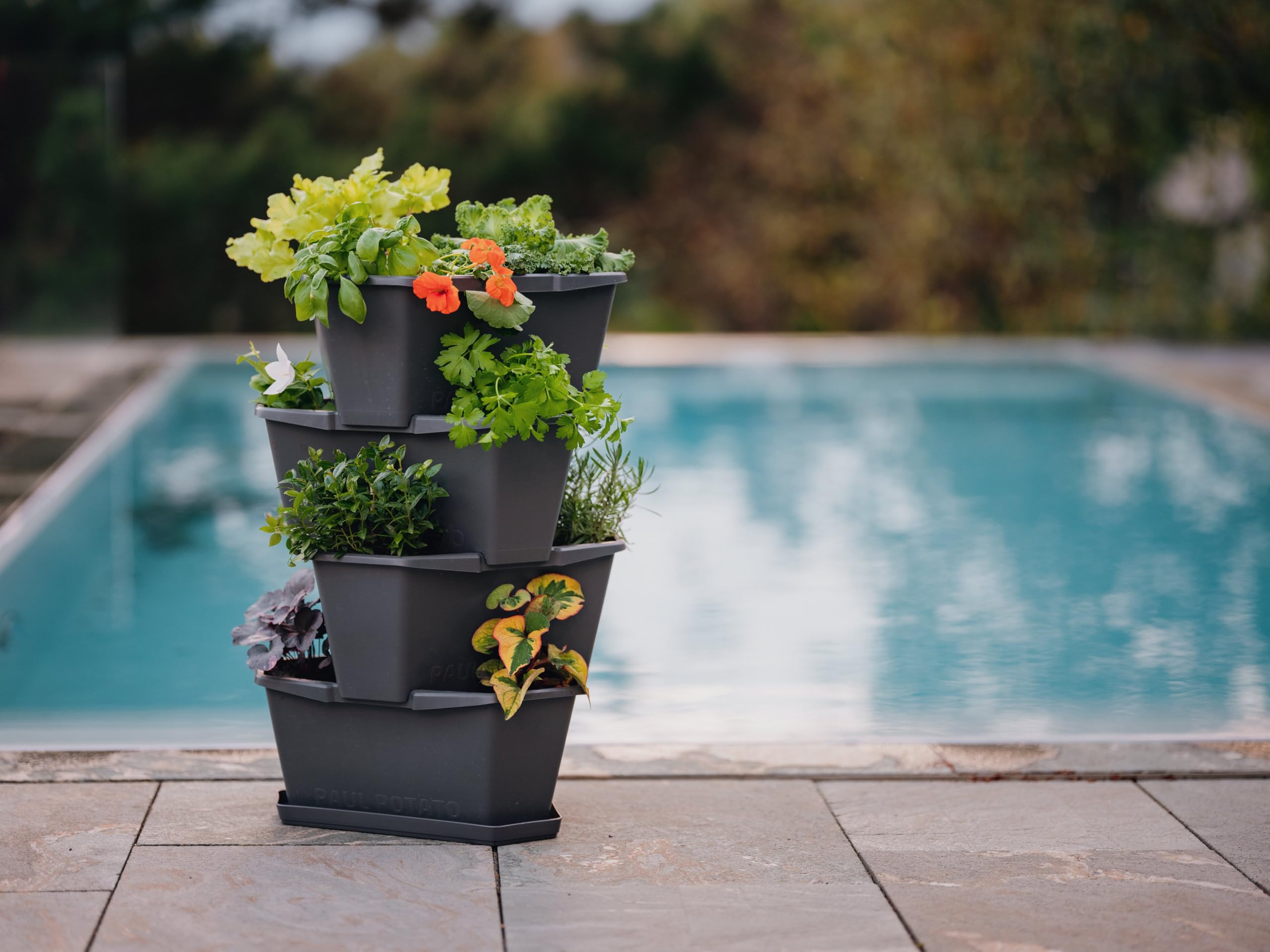 BUZZY planter styled on a patio with other plants showing lifestyle appeal and utility