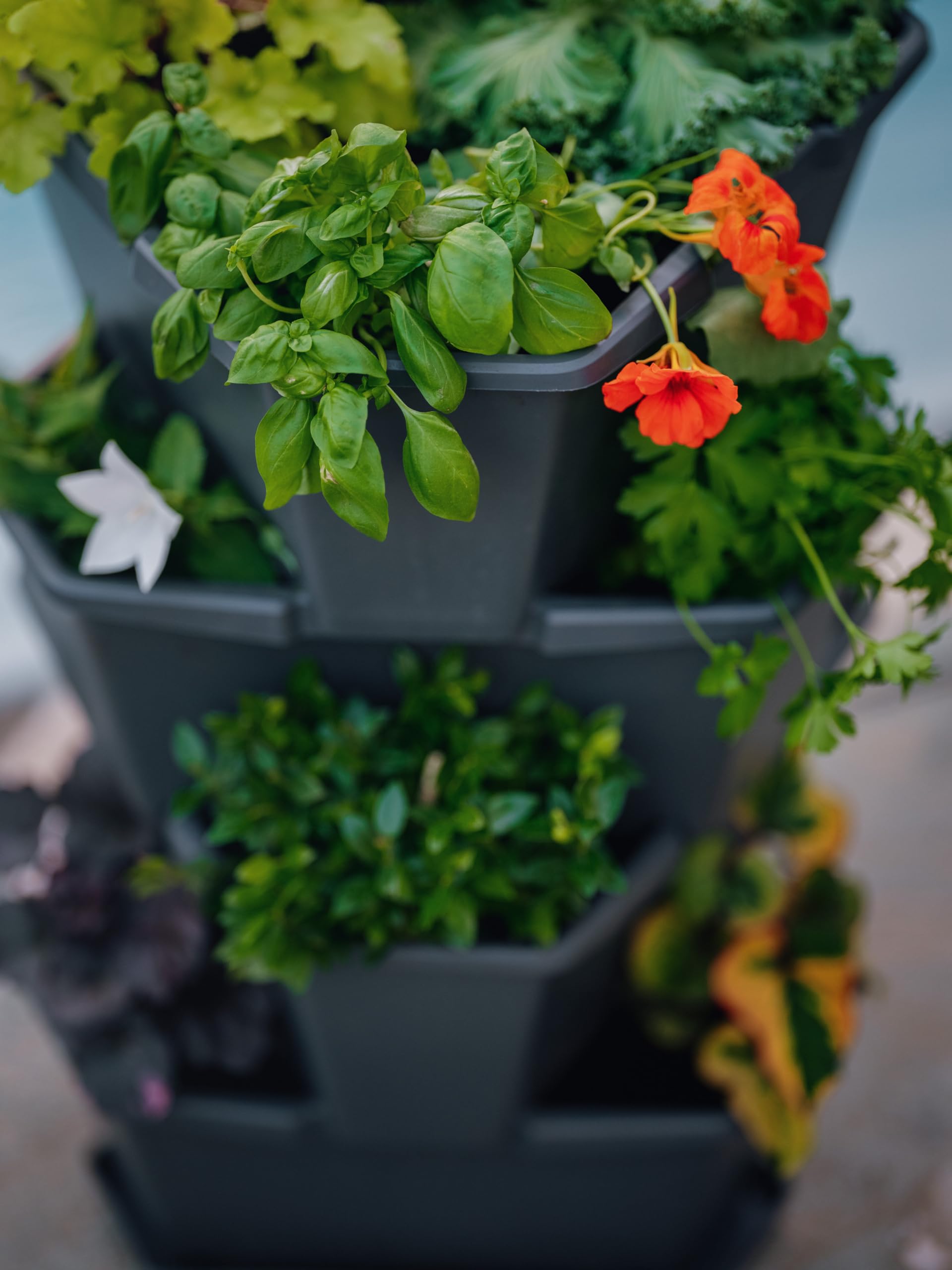 BUZZY planter on balcony beside chair for scale, highlighting small-space suitability