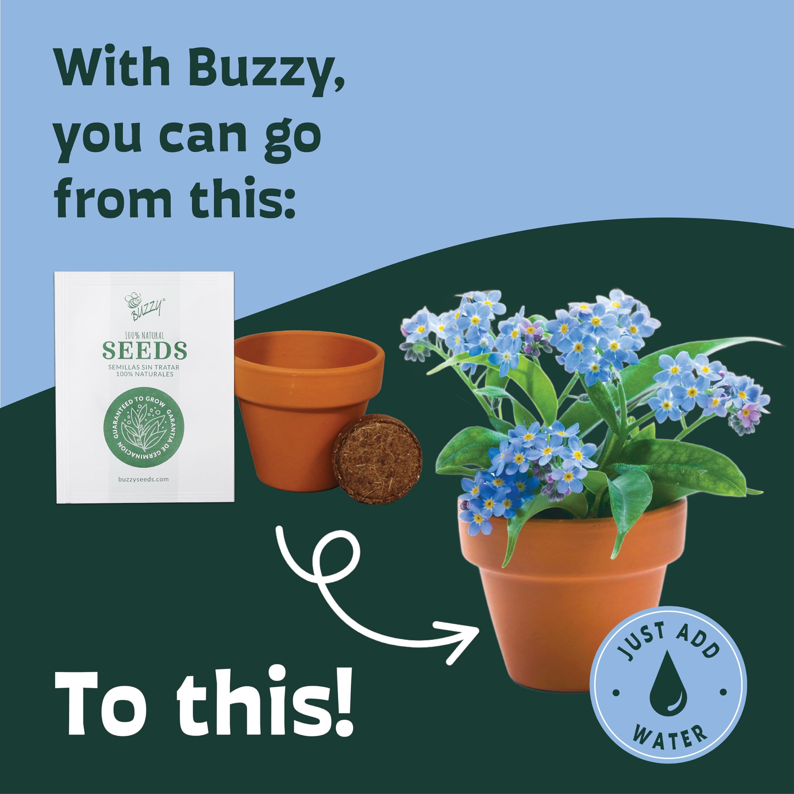 BUZZY terracotta pot next to coffee cup for scale, showing compact size advantage