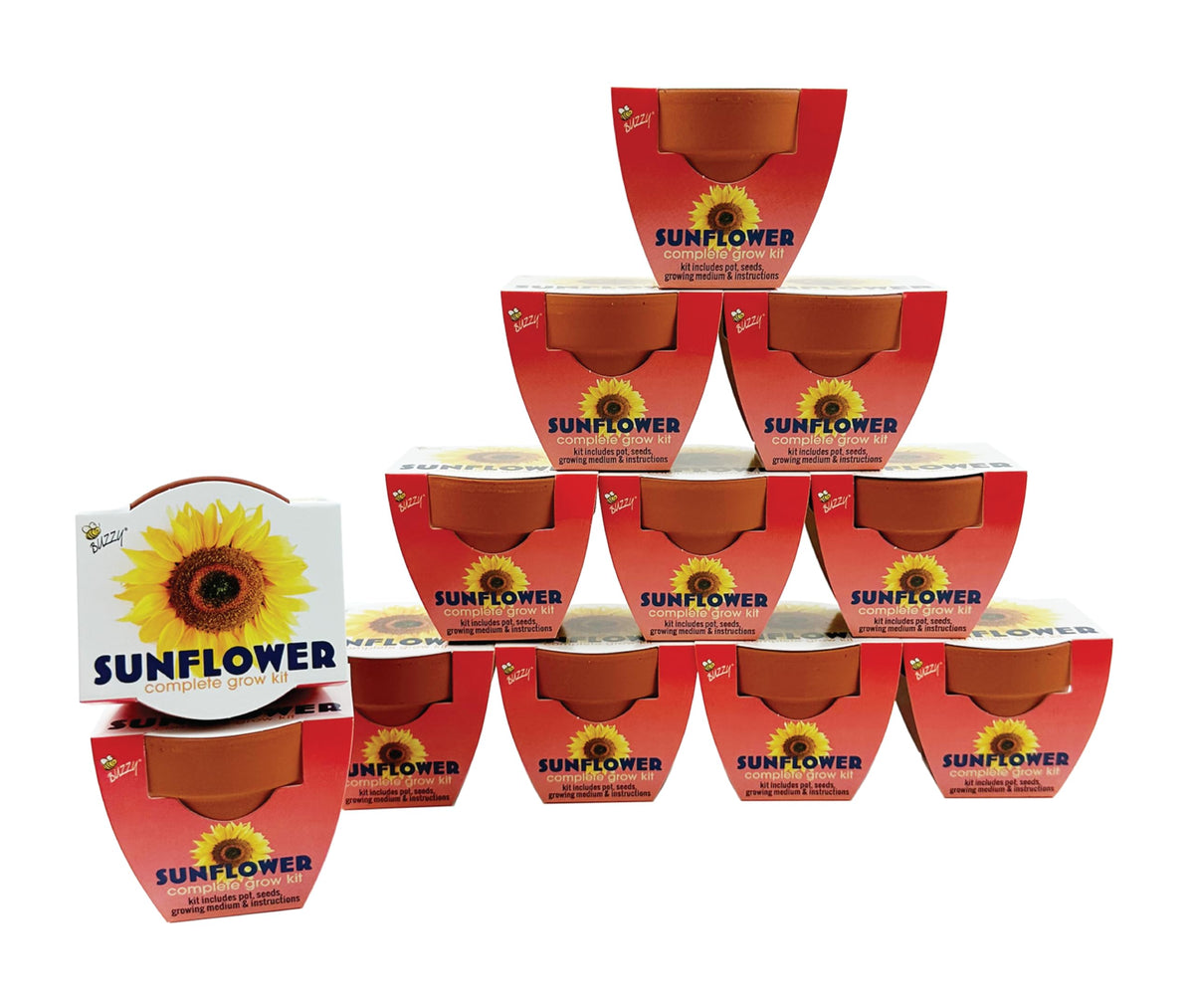 BUZZY front packaging showing full 12-pack kit and contents