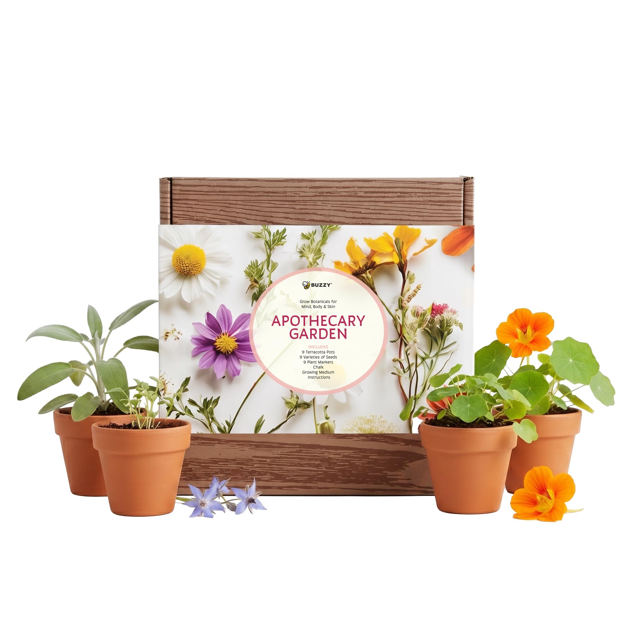 Buzzy genuine mini terracotta pots grouped, highlighting durable natural material