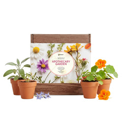 Buzzy genuine mini terracotta pots grouped, highlighting durable natural material
