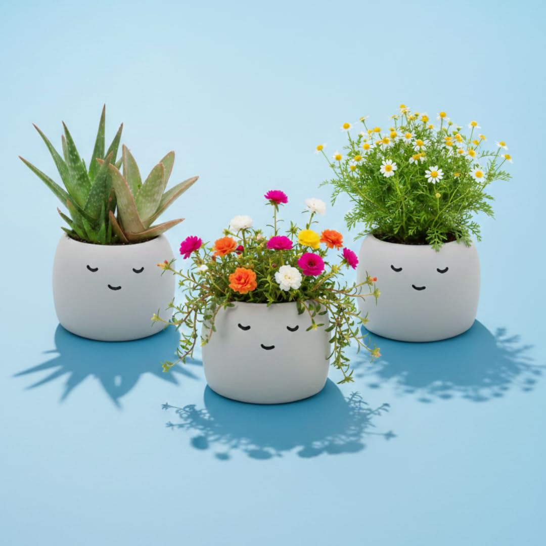 BUZZY three face planters on a shelf showing decorative grouping benefit