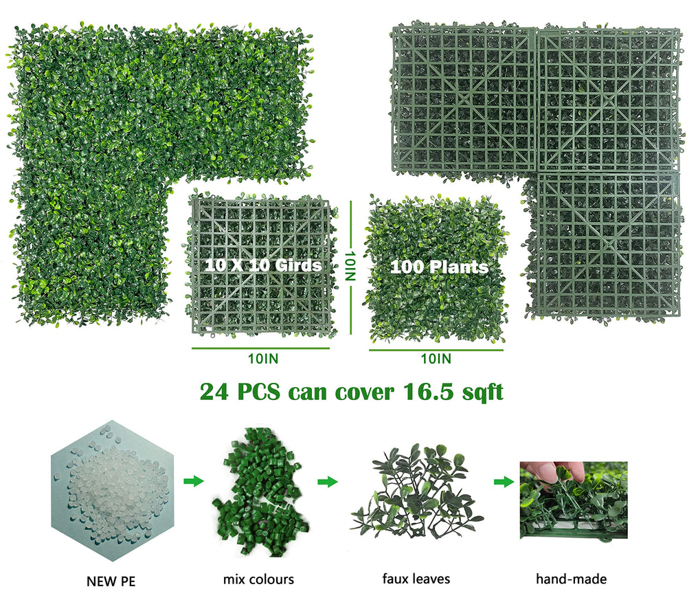 Bybeton close-up showing dense leaves and realistic texture benefit