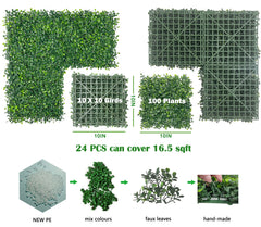 Bybeton close-up showing dense leaves and realistic texture benefit
