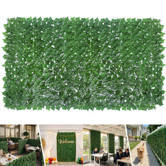 Bybeton front view of full ivy panel showing lush coverage and privacy