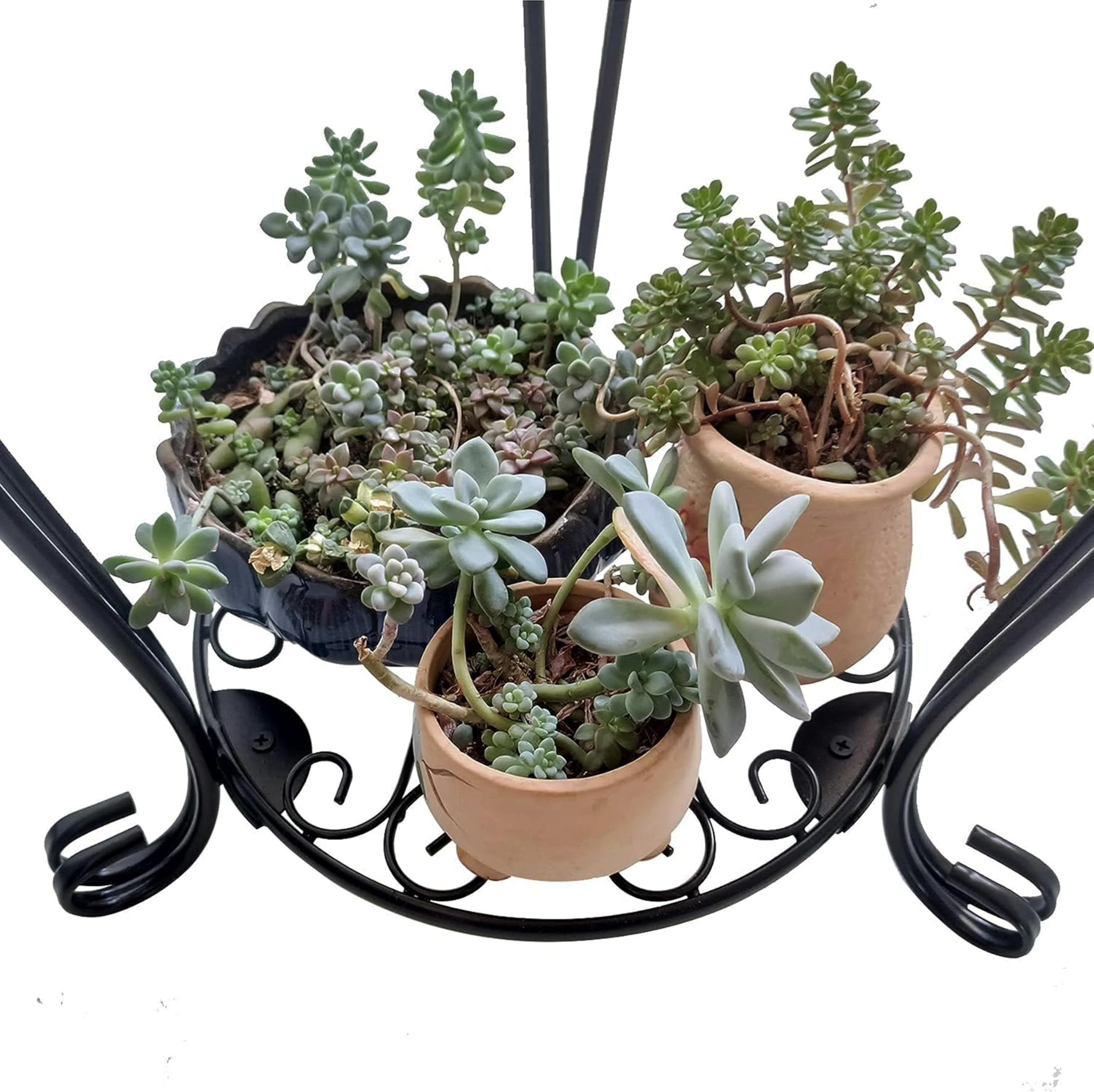 C CASIMR styled on a balcony with multiple plants for attractive outdoor decor