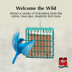 C&S suet cake placed in wire feeder demonstrating easy mounting and access