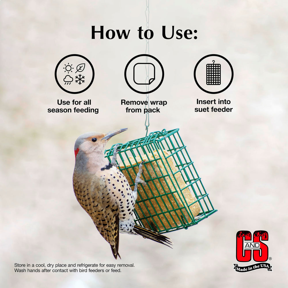 C&S robins feeding on berry suet illustrating increased backyard bird activity