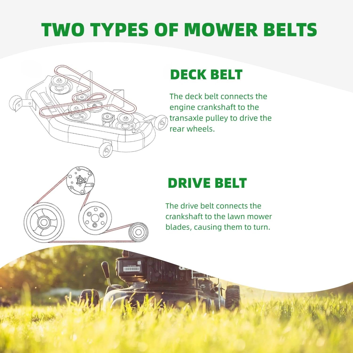 C-YONG belt in packaging with OEM number label emphasizing easy identification and direct fit