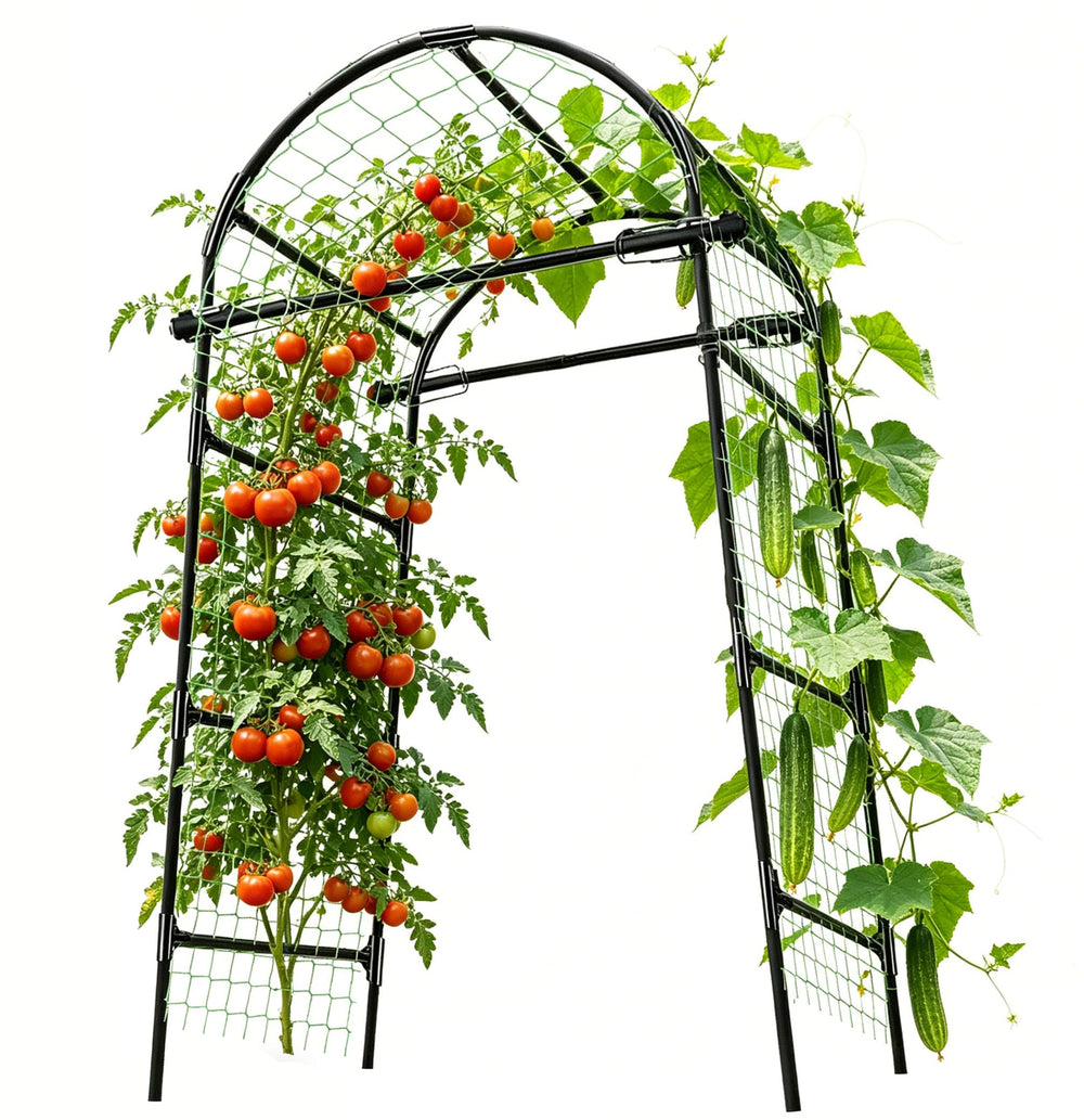 CACERIAWM front view of black garden arch trellis showing structure and walk-through benefit