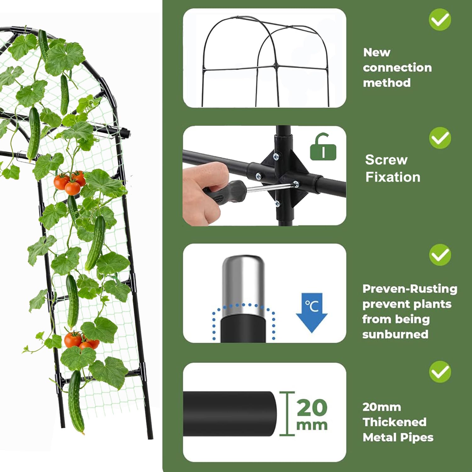 CACERIAWM trellis in garden with cucumbers climbing, improving airflow and sunlight