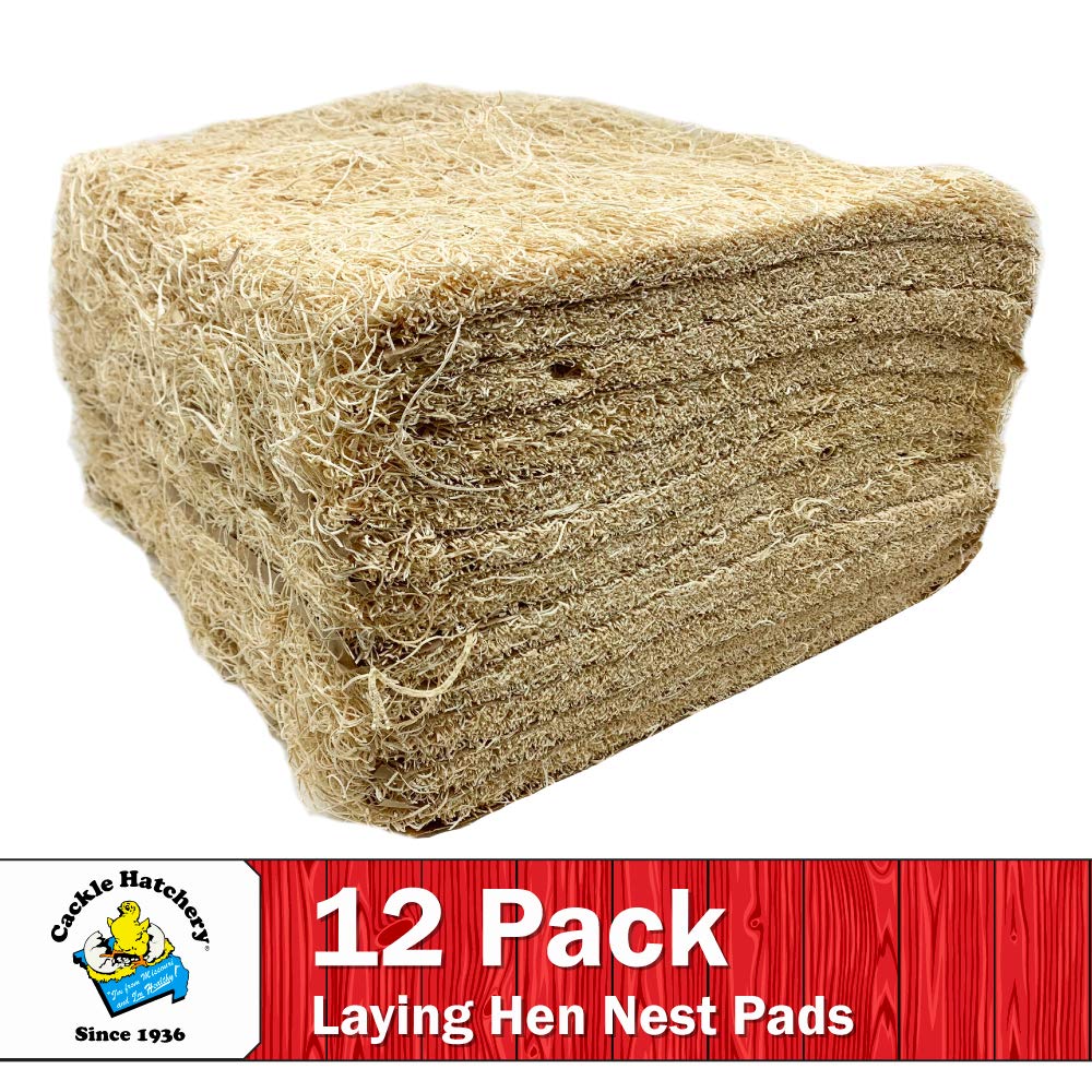 Cackle Hatchery stacked pads demonstrating supply quantity advantage