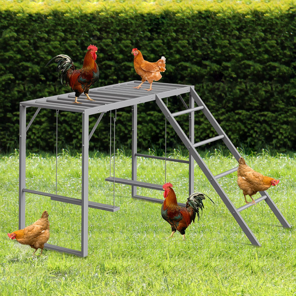 CADUKE live chickens roosting and using swings demonstrating enrichment benefits