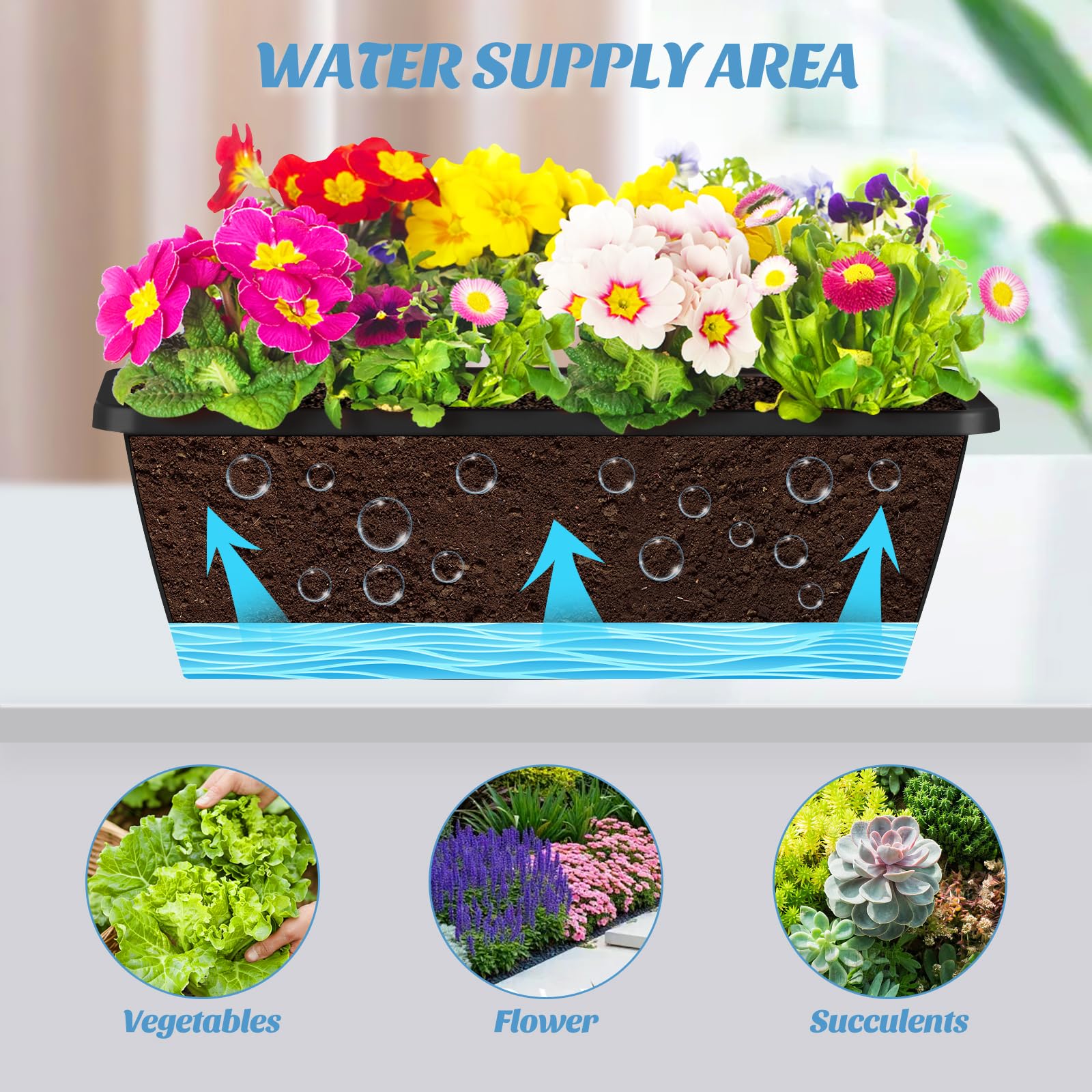 CADUKE size comparison next to ruler illustrating exact dimensions and planting capacity