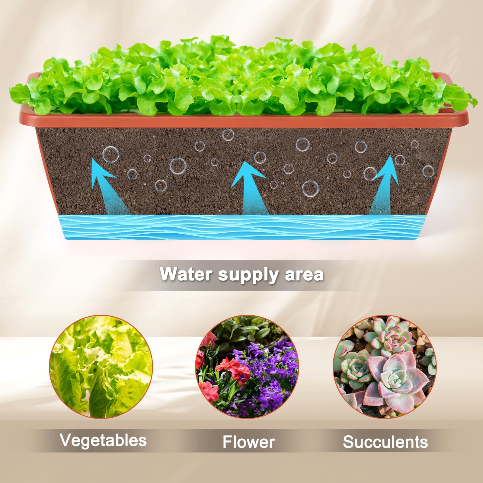 CADUKE planter next to ruler demonstrating 16.9 inch length for multiple plants