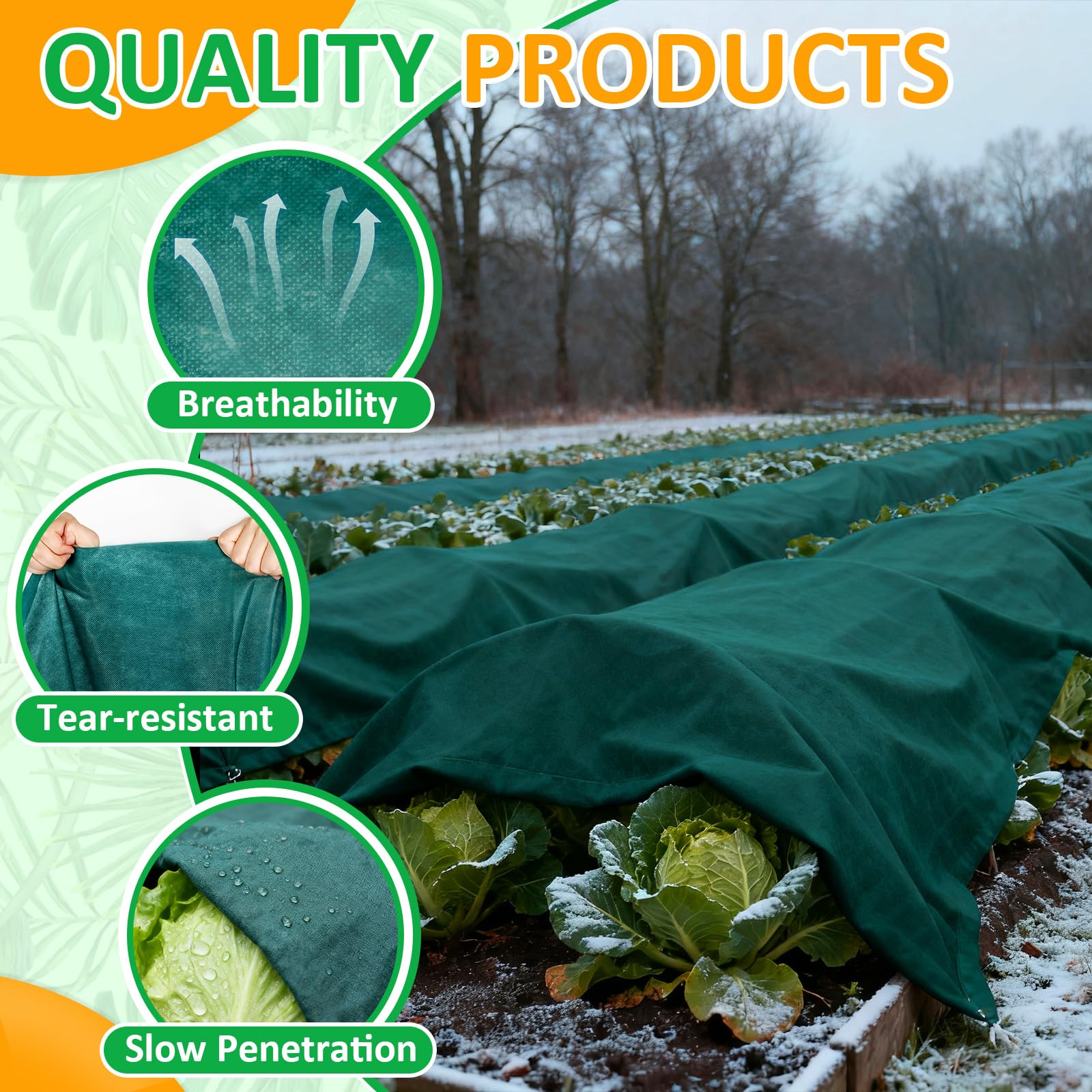 Cahomo cover draped over an apple tree, demonstrates frost protection benefit