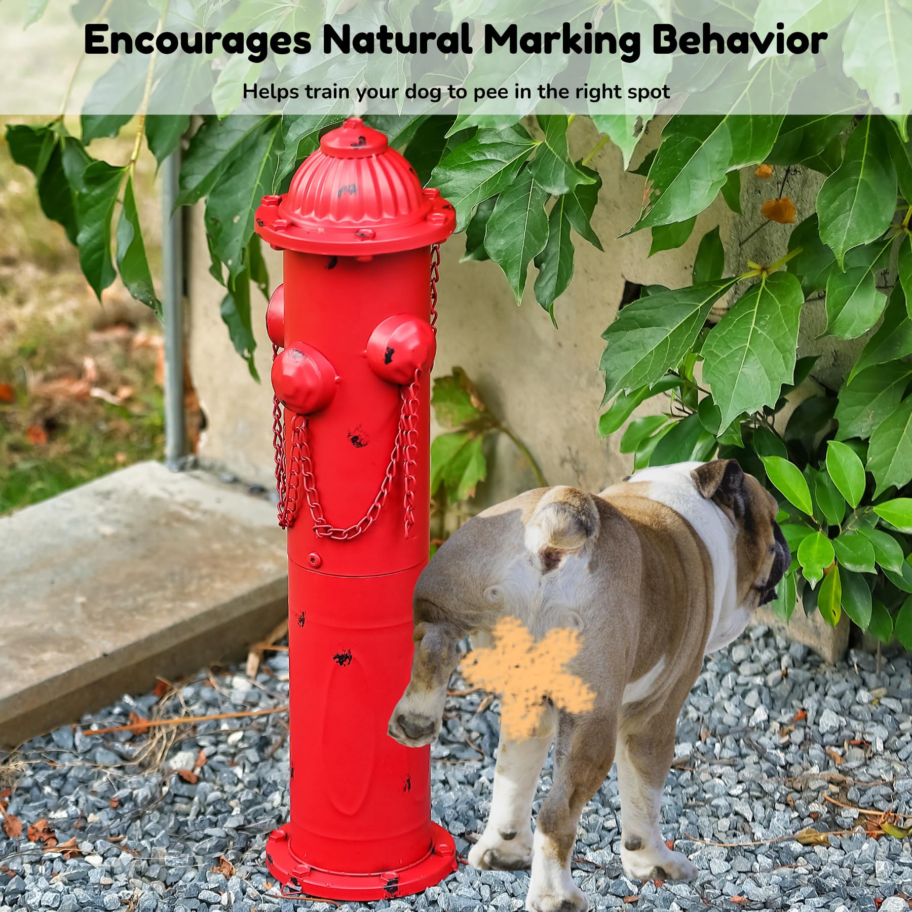 CaliDecor next to a small dog illustrating comfortable 24-inch height benefit