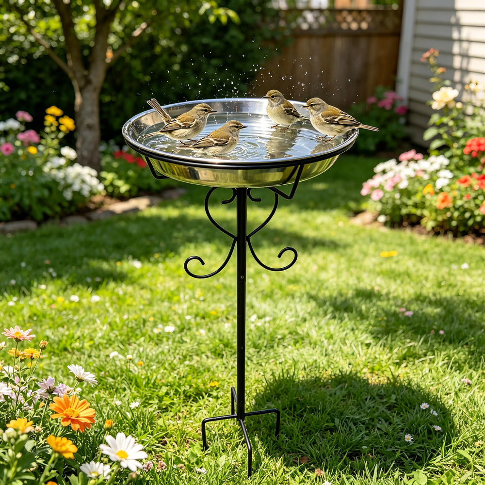 CALIDOLA bird bath placed among plants showing natural setting and bird-attracting reflection