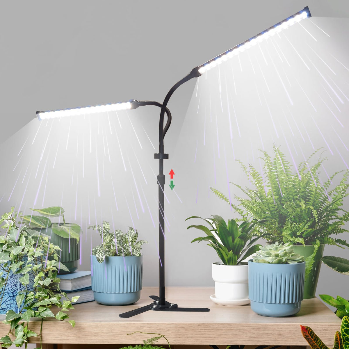 CalKoo front view showing full lamp and stable base for versatile gardening