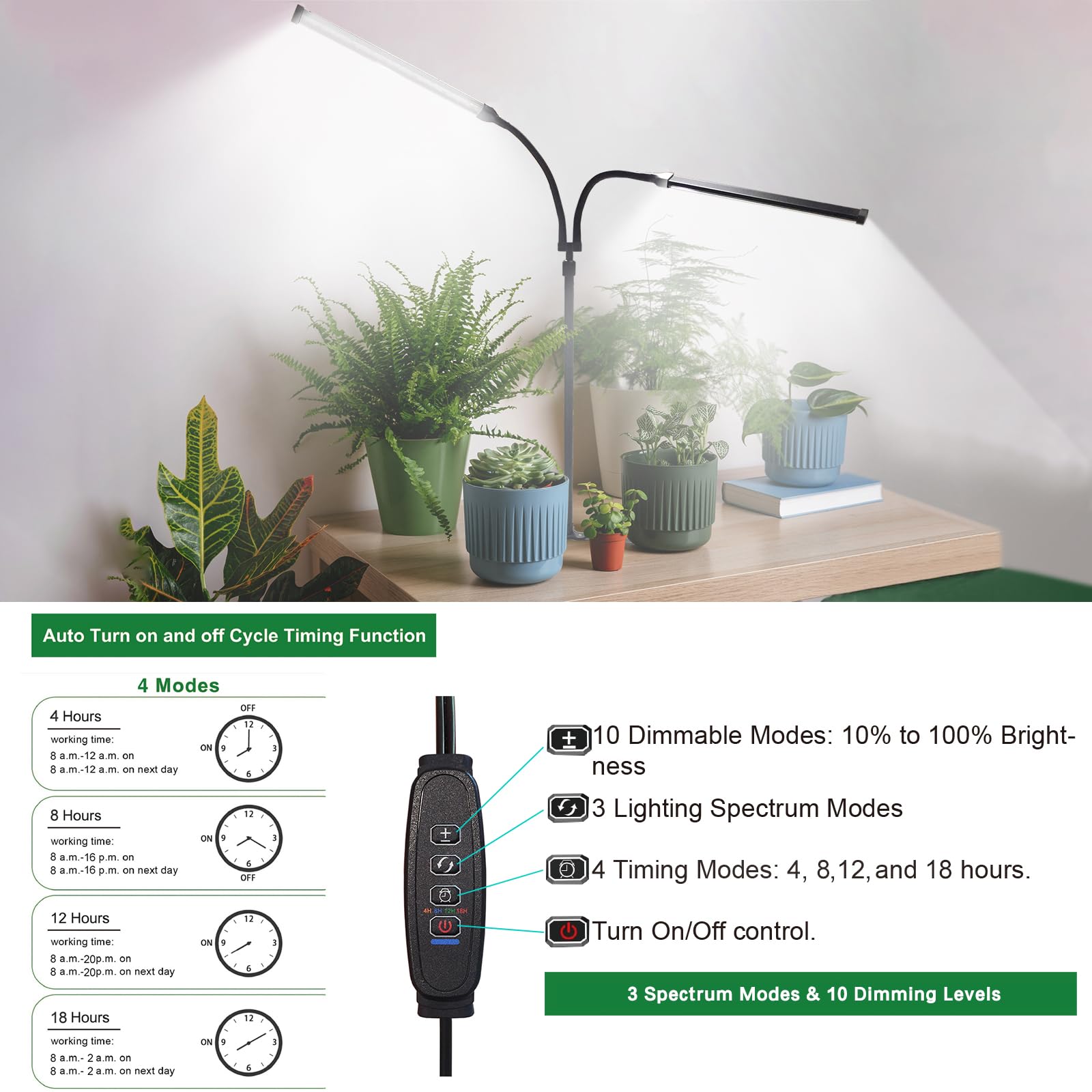 CalKoo beside ruler to show scale and ideal sizing for indoor setups