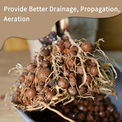 Calofulston supporting orchid roots to show stability and moisture control